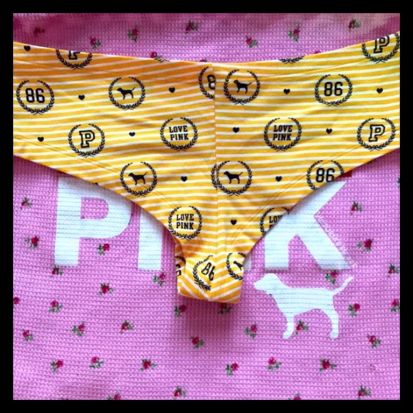 💕🅟🅘🅝🅚 🅥🅢 RARE Cheeky Hipster Panties NWT💕 - Picture 6 of 7